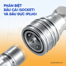 Phân biệt đầu cái (Socket) và đầu đực (Plug) trong bộ đầu nối nhanh khí nén
